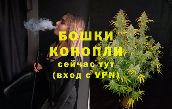сатива Абдулино