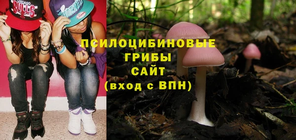 сатива Абдулино