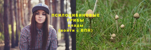 сатива Абдулино